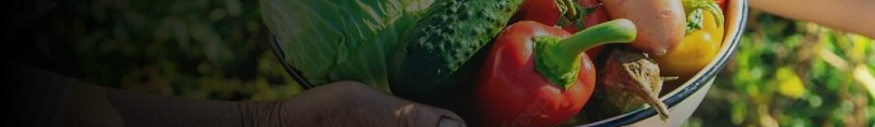 Banner Categoria.png